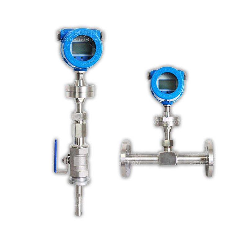 熱式氣體質量流量計